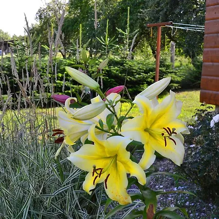 Sadkowo - Wsrod Jabloni , Balia Ogrodowa Dodatkowo Platna בית נופש *