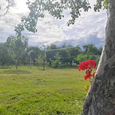 Holiday home Sadkowo - Wsrod Jabloni , Balia Ogrodowa Dodatkowo Platna Polanow