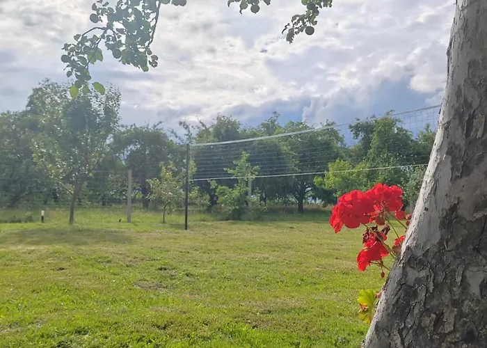 Nyaraló Sadkowo - Wsrod Jabloni , Balia Ogrodowa Dodatkowo Platna Pollnow